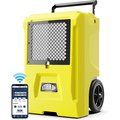 Alorair STORM DP SMART WIFI COMMERCIAL DEHUMIDIFIER, 50 AHAM/110 SATURATION PPD yellow Storm DP-Yellow-Single Voltage-WIFI